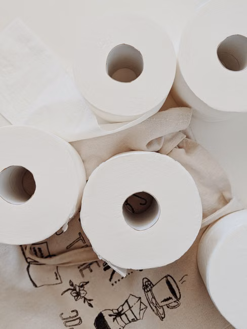 Papel Higiênico (12 rolos)